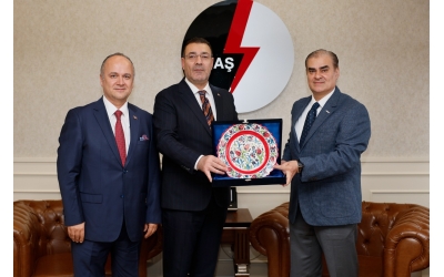 JENDER VISITS EÜAŞ AND TESAB
